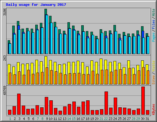 Daily usage for January 2017