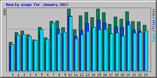 Hourly usage for January 2017